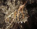 Dripstones #2 - main link
