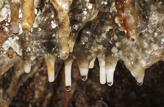 Dripstones #5 - smaller format