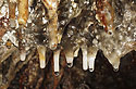 Dripstones #5 - main link