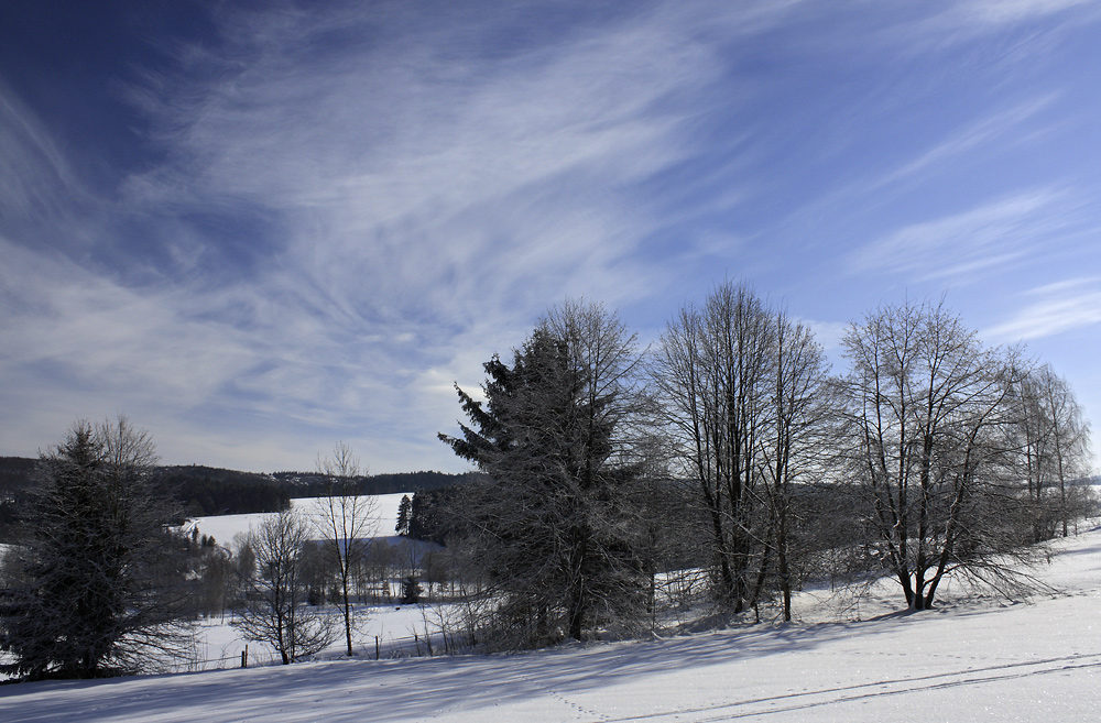 Winter in "Hlavov" - larger format