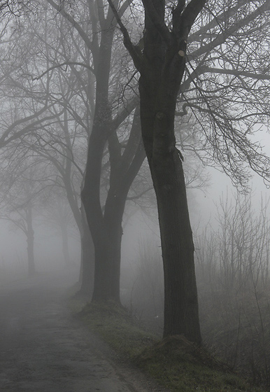 In fog - smaller format