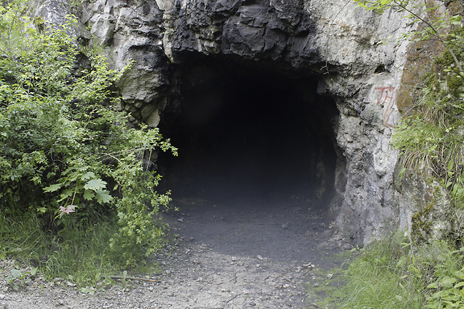 Portal - smaller format