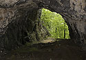 View out - main link