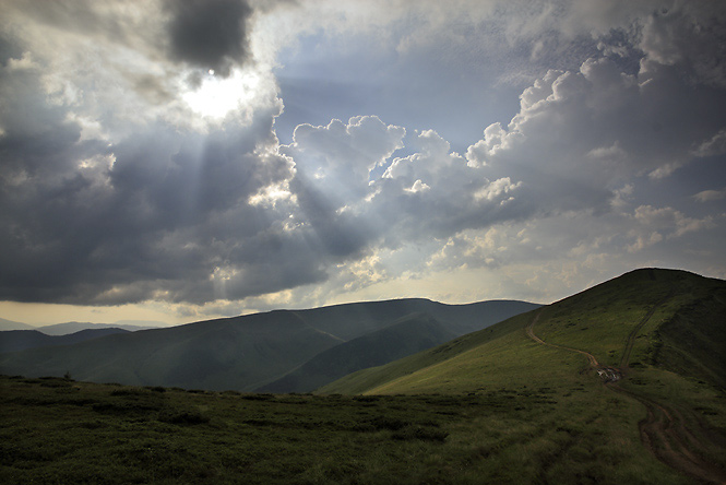 Rays - smaller format