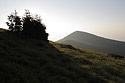 "Stih" in backlight - main link