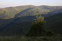"Vedenjaska" ridge - main link