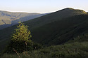 "Mt. Krauanska" - main link