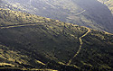Hillside paths - main link