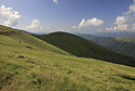 Look back - main link