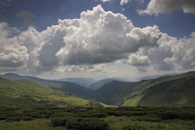 View to south - smaller format