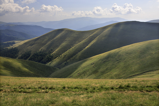 Side ridge - smaller format