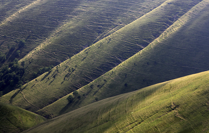 Hillside - smaller format