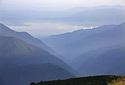 Morning fogs - main link