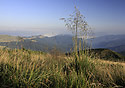 On mountais - main link