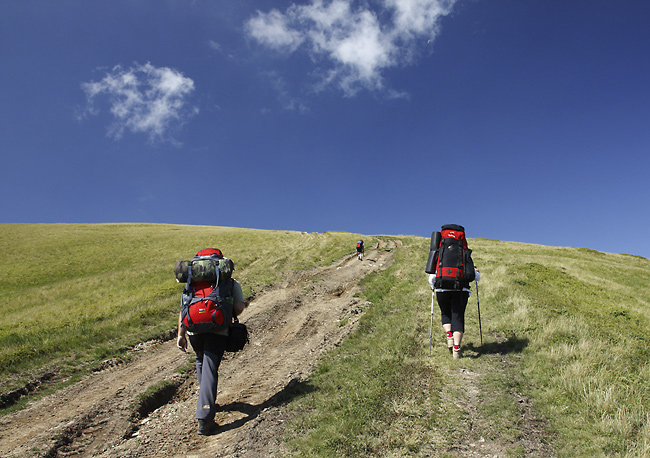 Up to the "Mt.Tempa" - smaller format