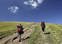 Up to the "Mt.Tempa" - main link