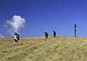 Up to the "Mt.Tempa" - main link