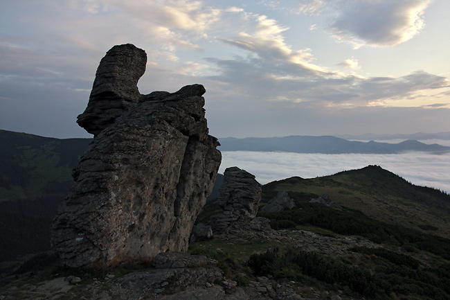 "Eared rock" - smaller format
