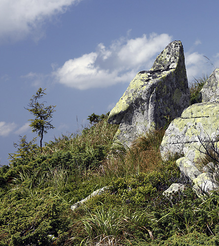 In mountains - smaller format