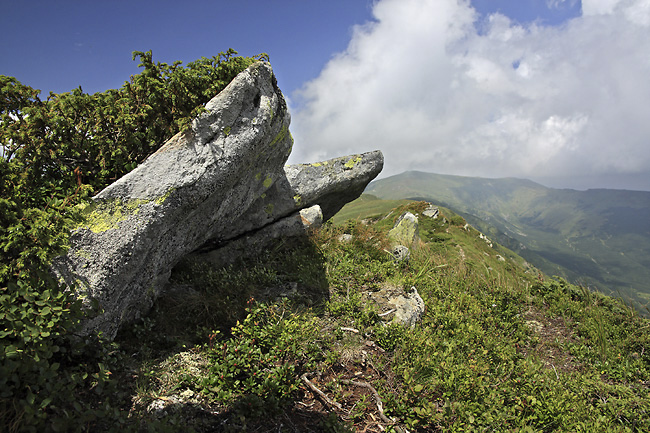 On the "Mt. Dzembroa" - smaller format
