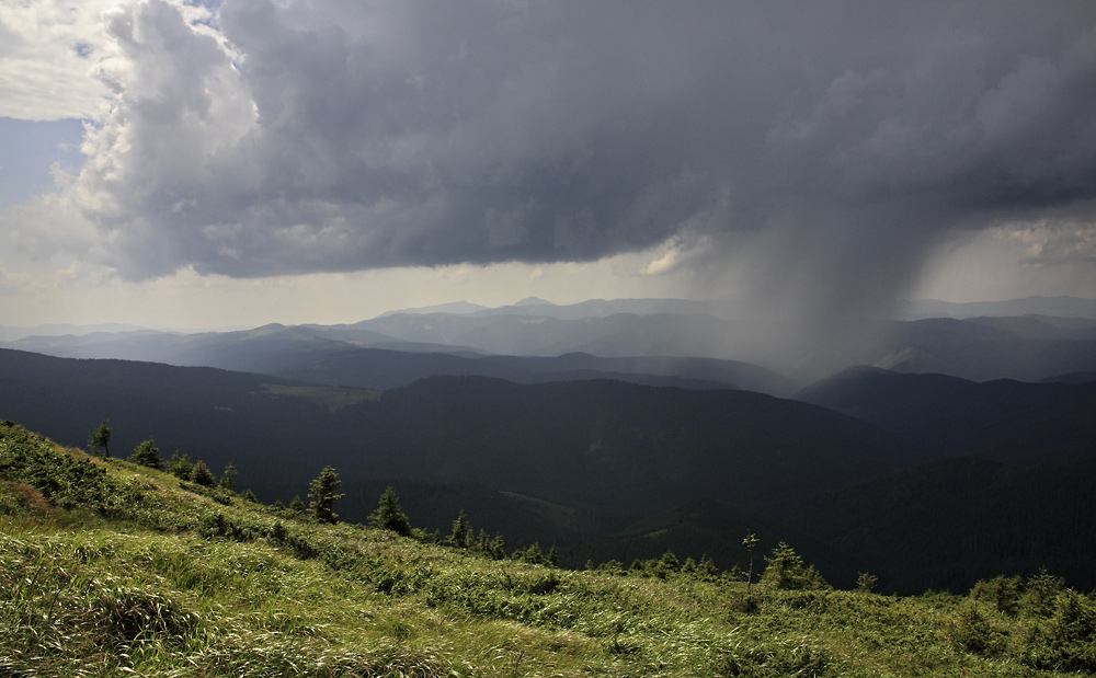 Rain shower - larger format