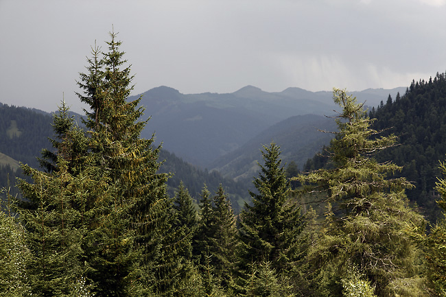 View from the way - smaller format