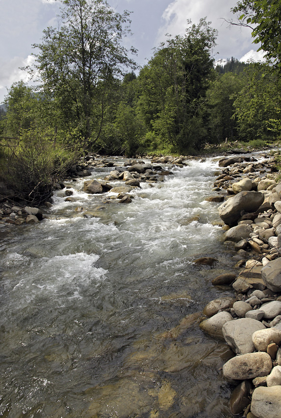 "Bistrec" creek - larger format