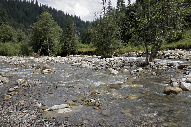 "Bistrec" creek - smaller format