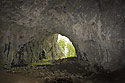 View out - main link