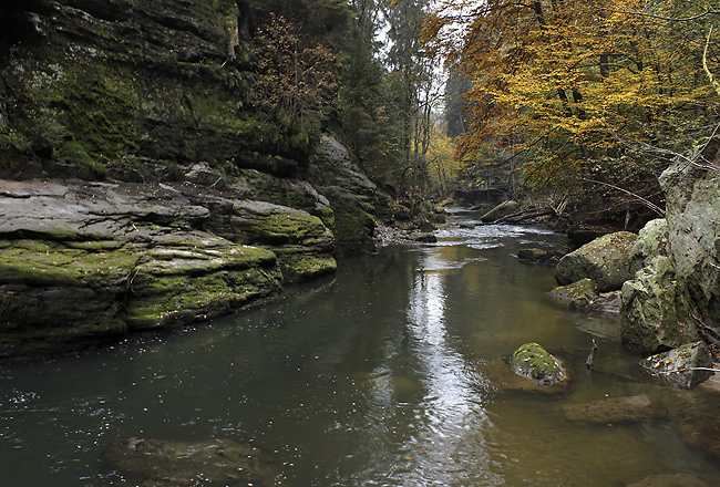 In the "Wild Gorge" - smaller format