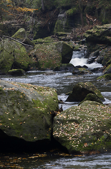 In the "Wild Gorge" - smaller format