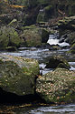 In the "Wild Gorge" - main link