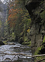 In the "Wild Gorge" - main link