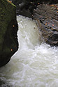 Rapids - main link