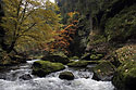In the "Wild Gorge" - main link