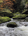 In the "Wild Gorge" - main link