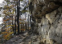 Rocks and trees - main link