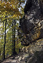 Rocks and trees - main link