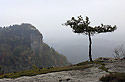 On "Wing walls" - main link