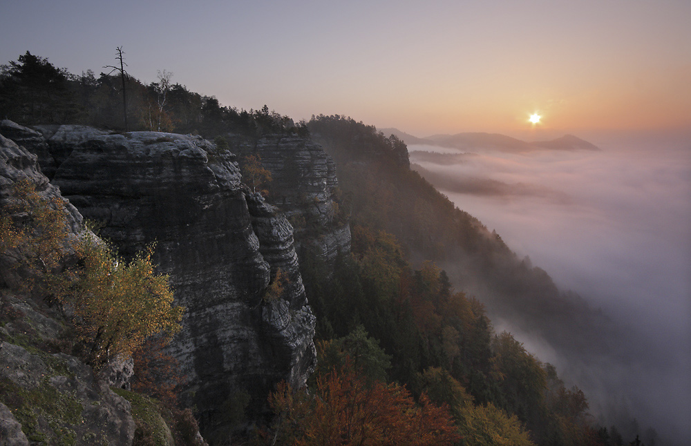 Morning light - larger format