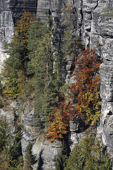 Podzim ve skalch - men formt