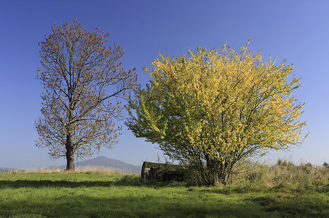 Autumn - smaller format