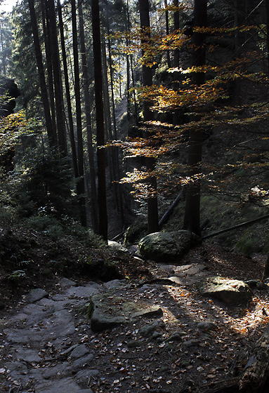 Path into the gorge - smaller format