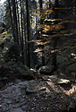 Path into the gorge - main link