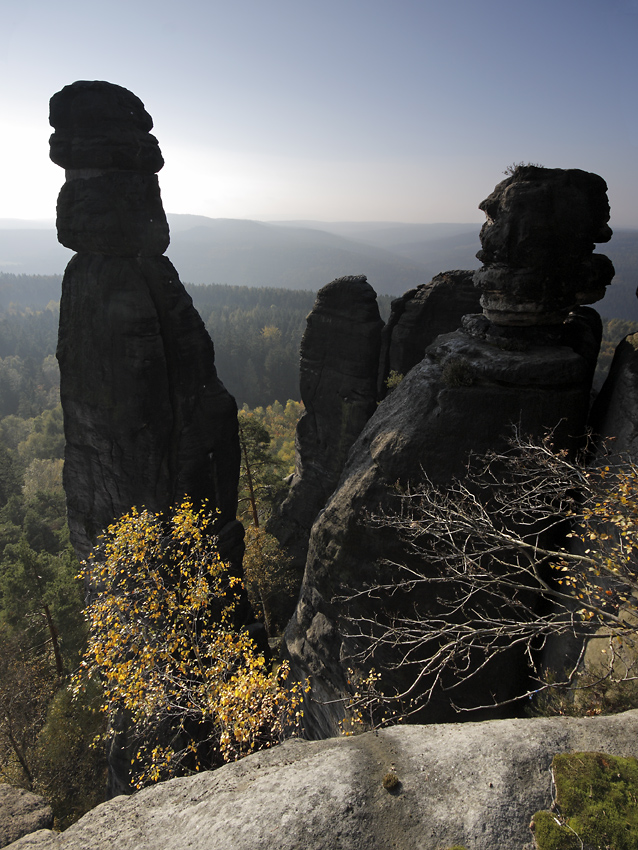At the "Barbarine" - larger format