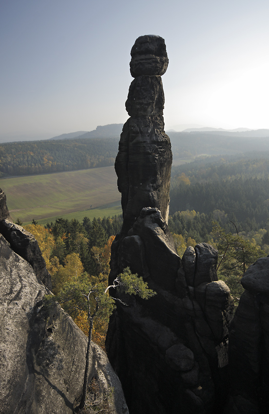 Barbarine - vt formt