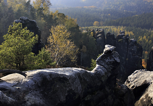 Ve skalch - men formt