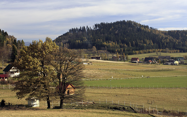 czna - men formt