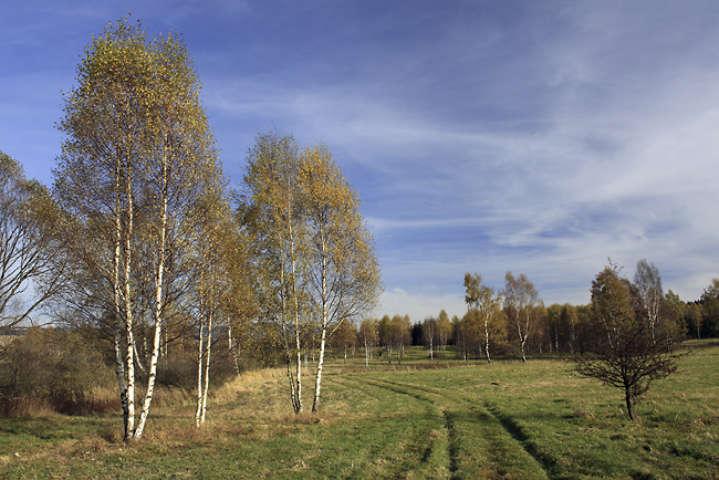 Nad Dobromylem - men formt