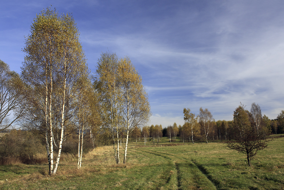 Near "Dobromyl" - larger format
